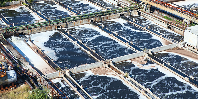 Aguas residuales: los microorganismos electroquímicamente activos convierten la energía química en electricidad