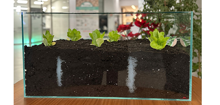 AIMPLAS desarrolla agua sólida, una alternativa biodegradable para mantener las plantas hidratadas en vacaciones