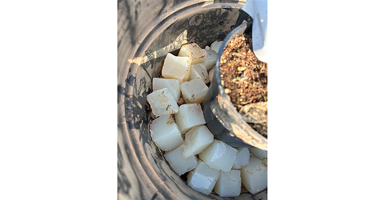 AIMPLAS desarrolla agua sólida, una alternativa biodegradable para mantener las plantas hidratadas en vacaciones