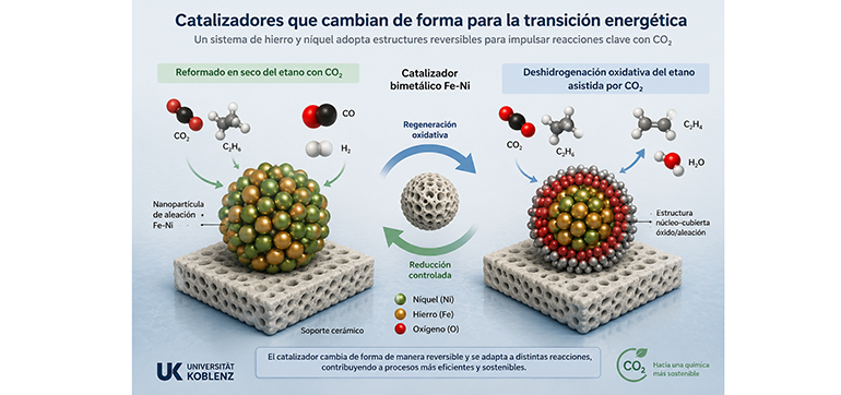 La Universidad de Coblenza desarrolla catalizadores que cambian de forma y abren nueva vía para la transición energética