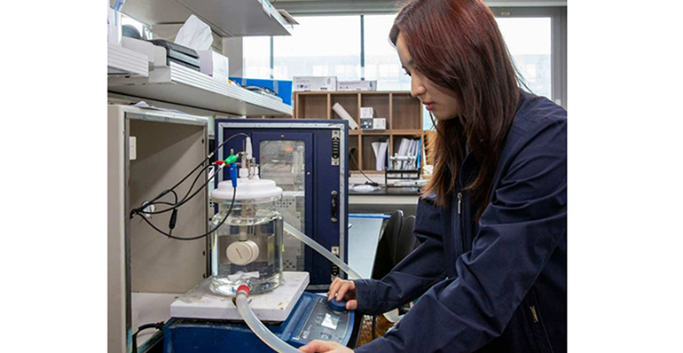 Un electrodo de níquel y cobalto reduce un 99 % el coste de los materiales para producir hidrógeno verde