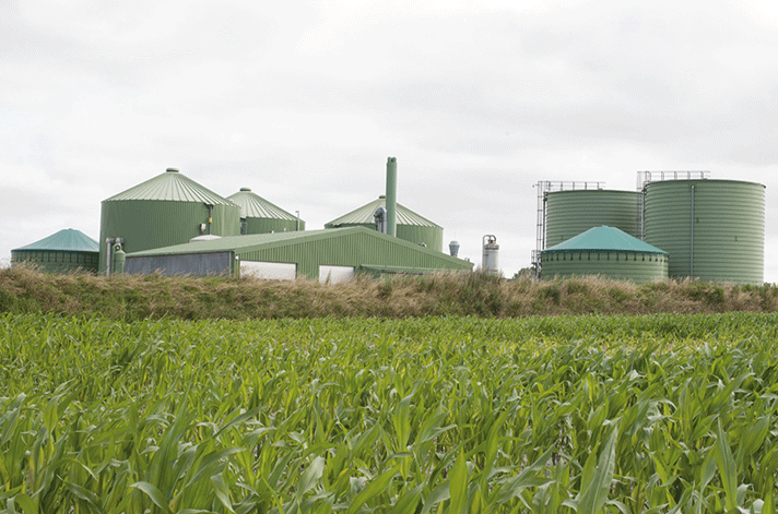 Biorrefinería: industria química basada en biomasa