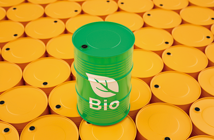 Producción de biocombustibles líquidos a partir de biomasa