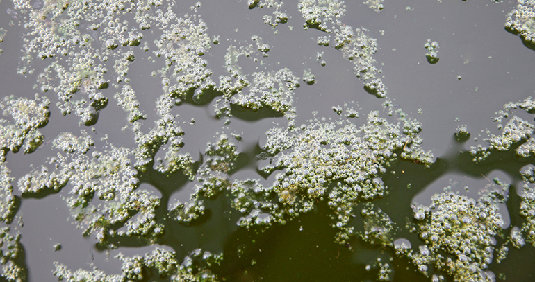 Ciemart, contaminación de las aguas, Depuración aguas, medioambiente