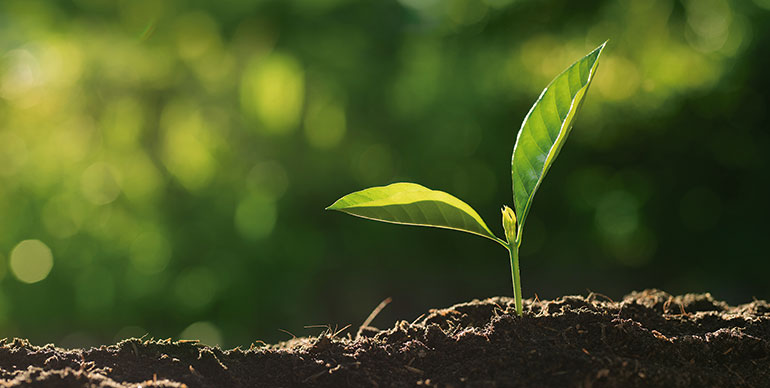 Biopesticidas, tratamiento de residuos