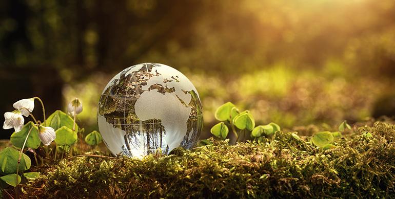 Cambio climático, hidrocarburos, universidad de navarra