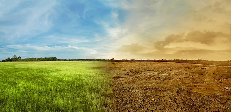 medioambiente, cambio climático, temperatura, planeta