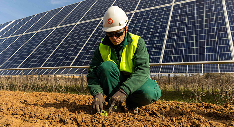 Galp desarrolla proyectos sostenibles en plantas fotovoltaicas de Aragón