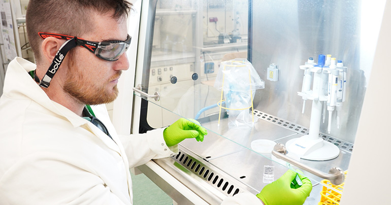 El ICIQ desarrolla un nuevo método electroquímico para rastrear los biofilms