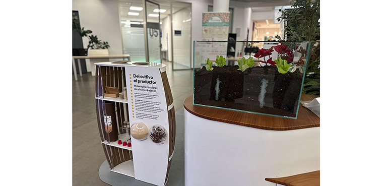 AIMPLAS reúne a más de 150 especialistas en biopolímeros para debatir sobre regulación, certificación e innovación