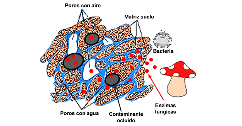 kepler, suelos contaminados