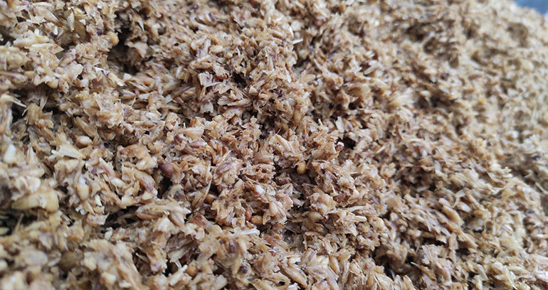 De residuos de cerveza a envases circulares biobasados: BioSupPack impulsa la innovación para cumplir el PPWR