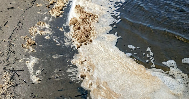 Un estudio revela altas concentraciones de PFAS en las espumas del mar
