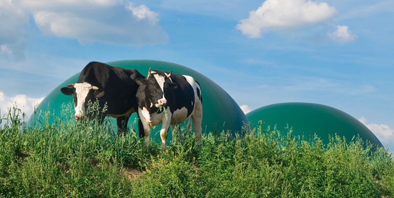 El embudo del biogás en España: mucho residuo y pocas nueces