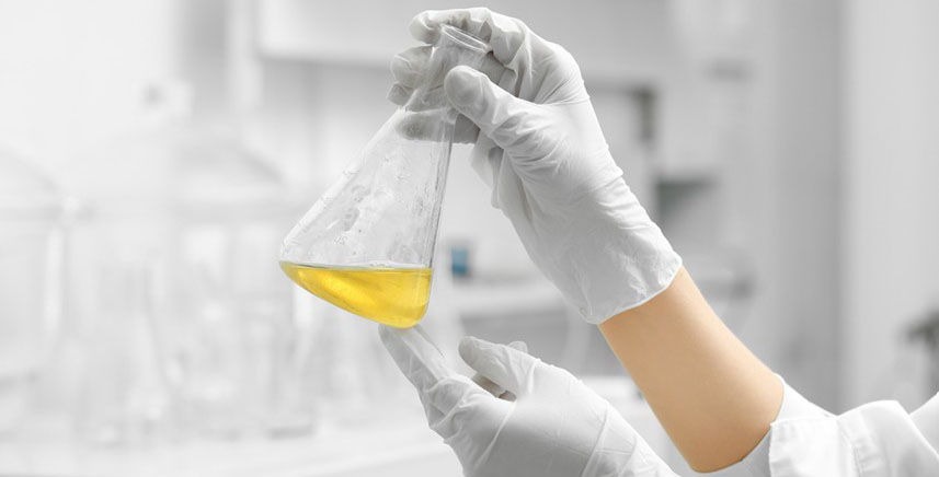 ITENE crea una nueva generación de biocidas, biochar y ceras para la industria transformando plásticos y biomasa