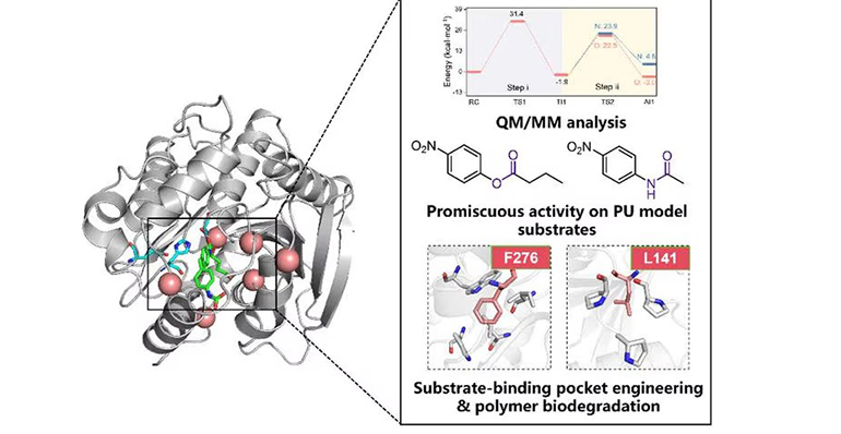 Reciclado de plásticos de poliuretano: enzimas de ingeniería como solución sostenible