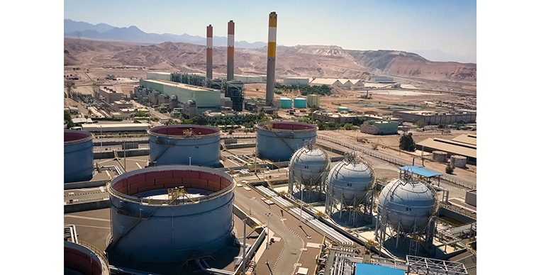 Proyecto SynCell: cómo transformar la biomasa en productos químicos de alto valor