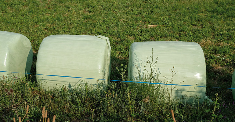 Evaluación de la biodegradabilidad de nuevas baterías biodegradables y compostables