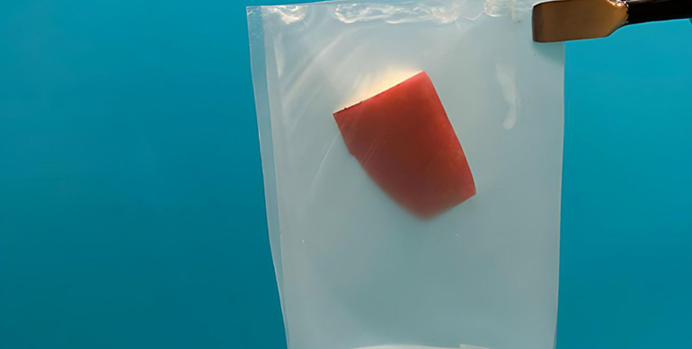 La Universidad de Washington desarrolla un bioplástico inspirado en hojas que supera en resistencia al polietileno