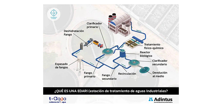 Cómo funciona una EDARi: estructura y etapas del tratamiento de aguas industriales
