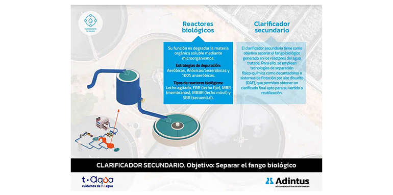 Cómo funciona una EDARi: estructura y etapas del tratamiento de aguas industriales