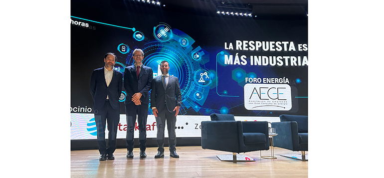 La industria electrointensiva congrega en Madrid a más de 200 asistentes en el Foro Energía AEGE 2026