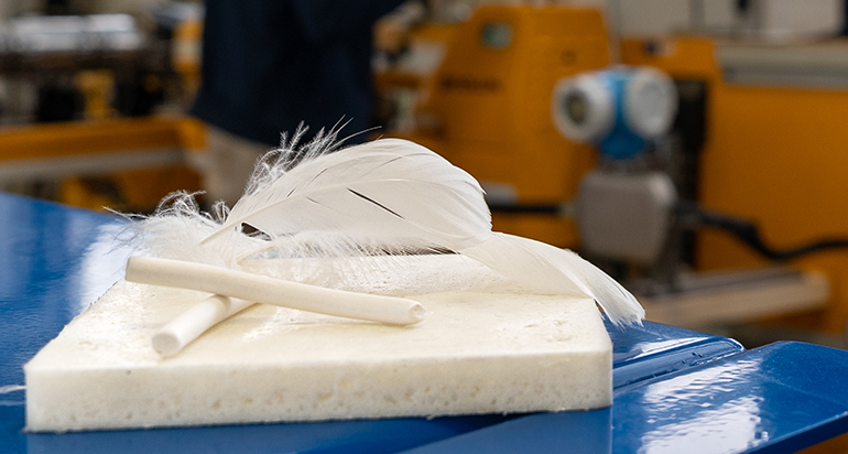 Aimplas transforma residuos de plumas de ave en espumas para cultivos hidropónicos sostenibles