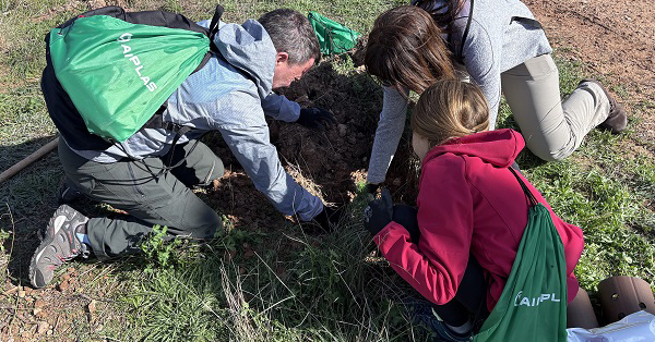 AIMPLAS inscribe por sexto año consecutivo su huella de carbono de 2024 en el registro del Ministerio
