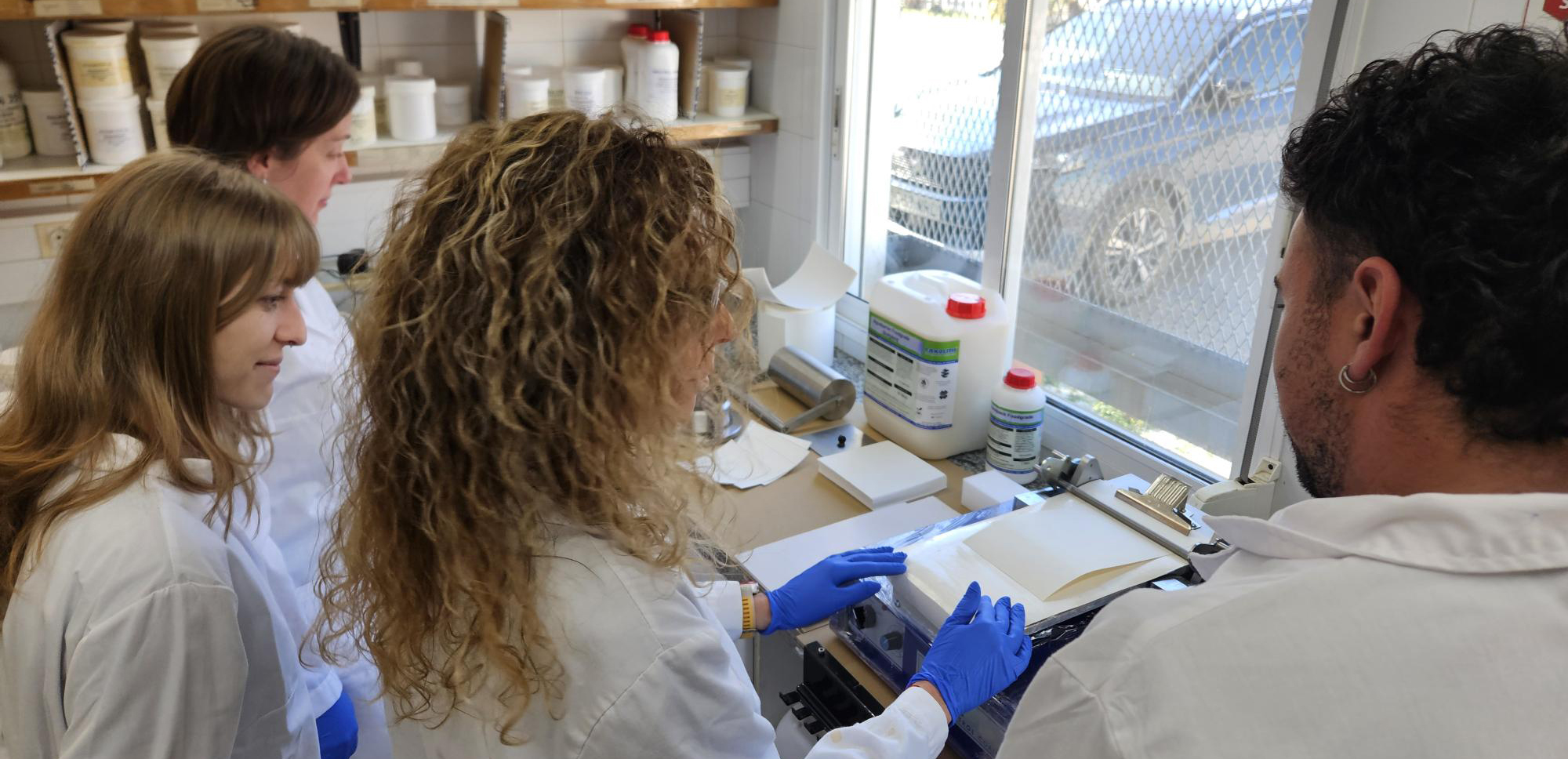 Proyecto SAFE-ED Coatings: nuevos recubrimientos ante los cambios regulatorios en torno al Bisfenol A y disruptores endocrinos