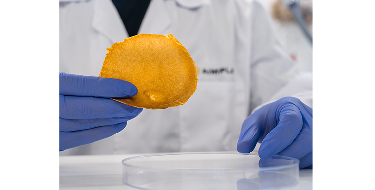 AIMPLAS lidera el proyecto VEGANCELIO para transformar residuos orgánicos en piel vegana y microcápsulas cosméticas