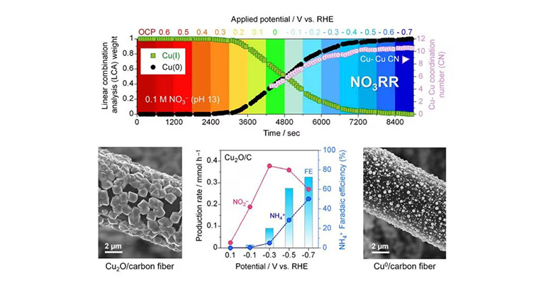 La Universidad Metropolitana de Tokio muestra cómo un catalizador de una reacción química ayuda a fabricar amoníaco