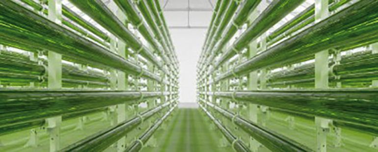 Energía nuclear en la economía del hidrógeno