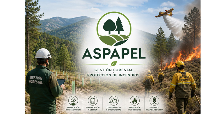 ASPAPEL reclama una gestión forestal activa para prevenir incendios y proteger los bosques