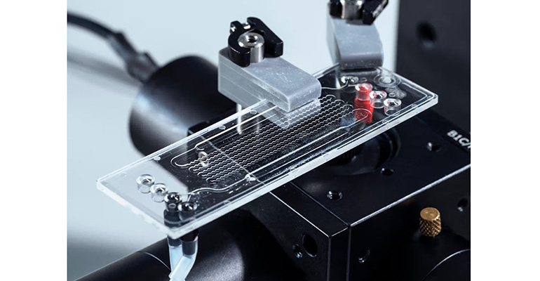 BAM desarrolla un sistema de sensores para el análisis y la detección de PFAS en 15 minutos