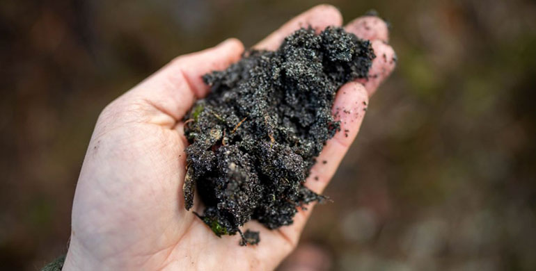Añadir biochar al compost lo hace un 25% más seguro, además de reducir gases de efecto invernadero