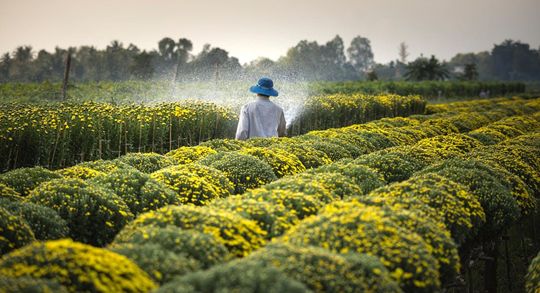 Los bioestimulantes agrícolas, punta de lanza del bioagro