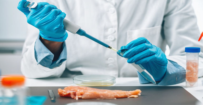 ITENE desarrollará sistemas de biosensado para detectar bacterias críticas en alimentación en menos de una hora