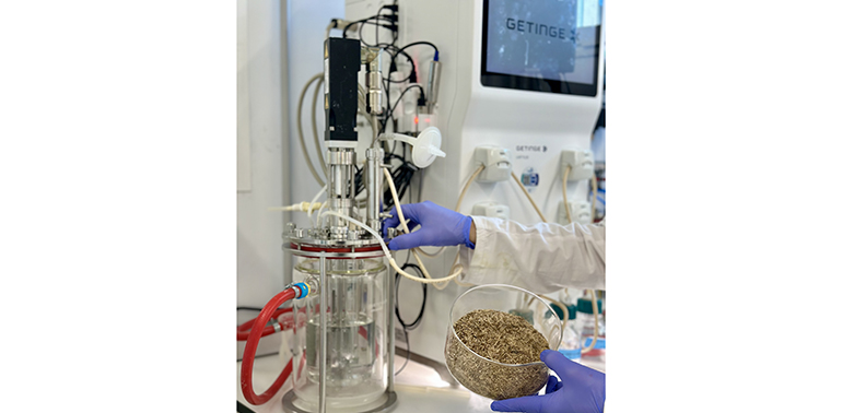 Desarrollan procesos innovadores para fabricar bioplásticos sostenibles a partir de residuos agrícolas y restos de poda