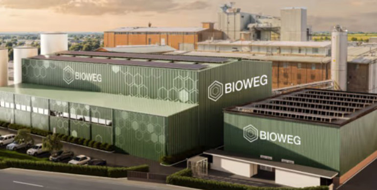 BIOWEG construirá en Alemania la mayor planta europea de celulosa bacteriana