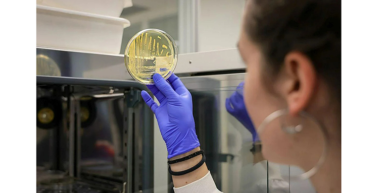 La UBU desarrolla una tecnología que consigue transformar compuestos tóxicos en agentes antibacterianos