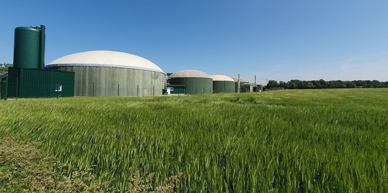 Catenon apuesta por convertir residuos en energía y contar con expertos que lideren el sector energético