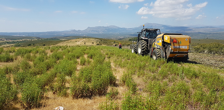 Se pone en marcha en el CEDER-CIEMAT el proyecto Biocistus 4.0