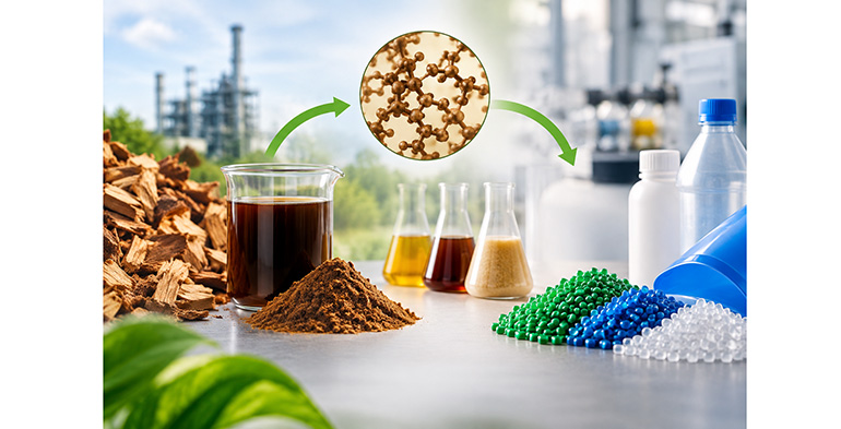 Colortec Química convierte lignina en bioaditivos para la industria del plástico