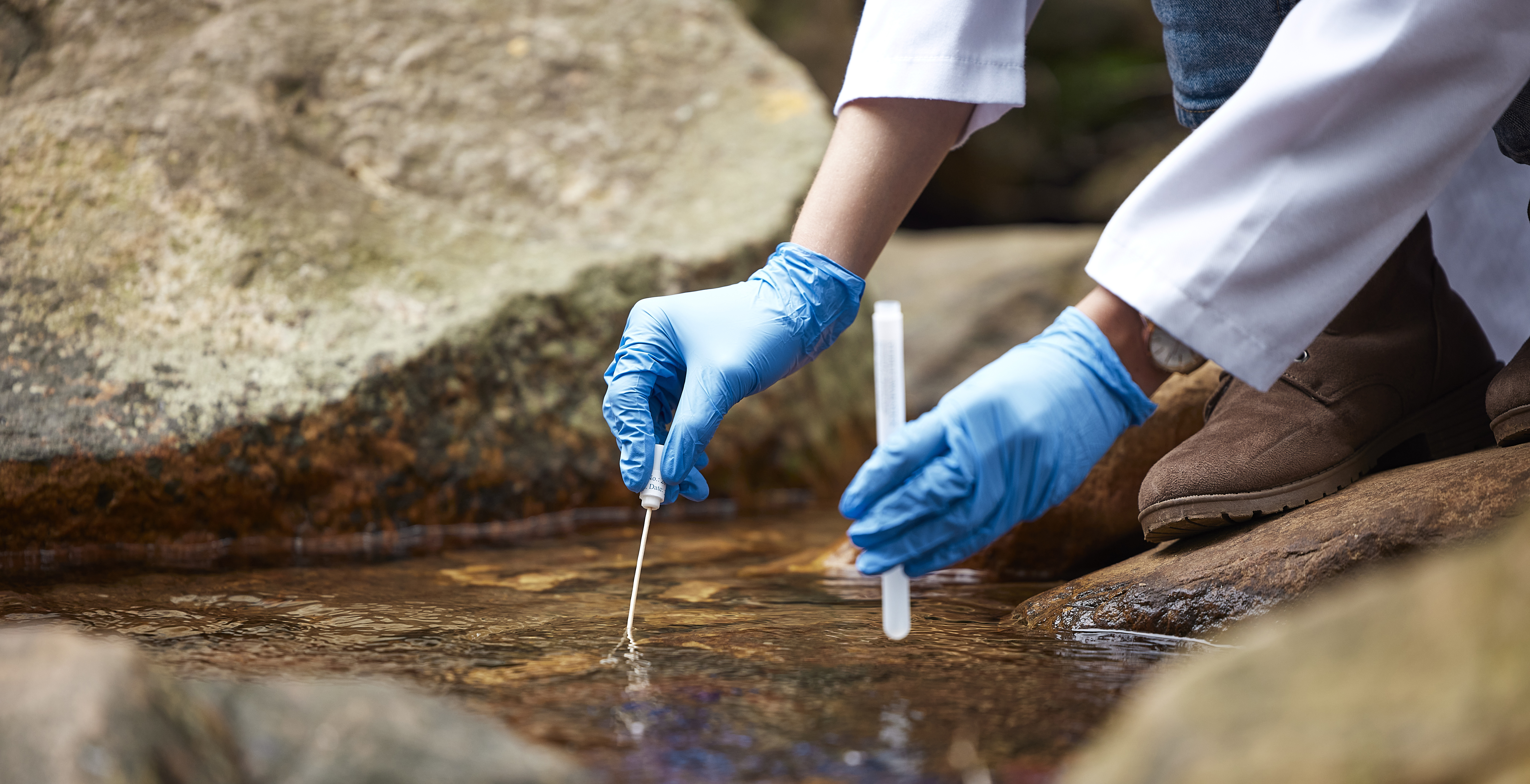 La composición química de los ríos podría potenciar la modelización de los océanos costeros