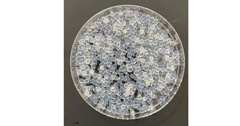 La Universidad de Dakota del Sur desarrolla “fábricas de nitrógeno” biodegradables para reducir el uso de fertilizantes