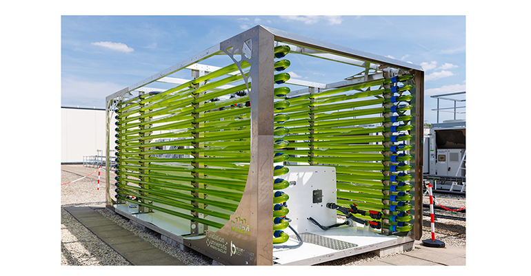 Data4 y la Fundación de la Universidad París-Saclay transforman el calor residual en biomasa de algas