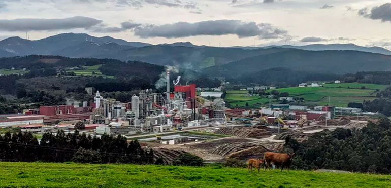 Ence actualiza la planta industrial de Navia con nuevos productos y menos emisiones 