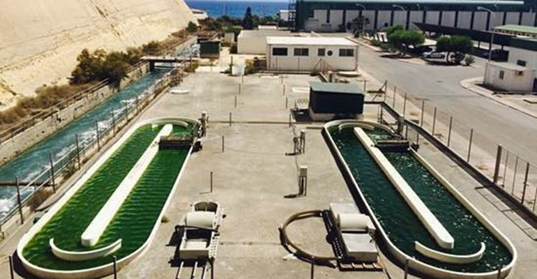 Acuerdo entre Endesa y Algavillage para dar continuidad a la planta de microalgas de Litoral