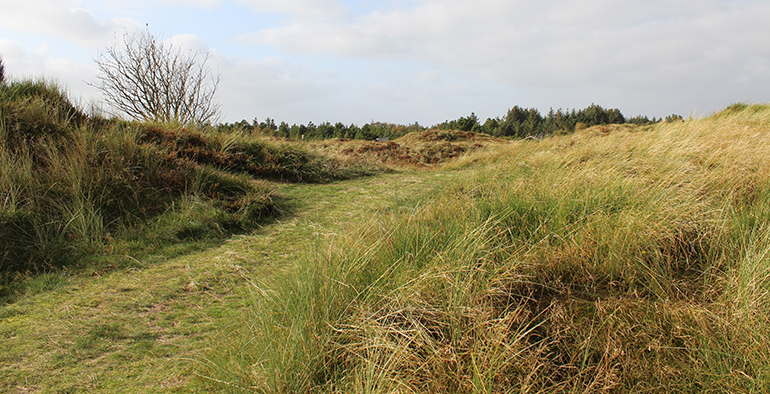 Eurecat ensayará un nuevo método que utiliza hongos y bacterias para descontaminar suelos