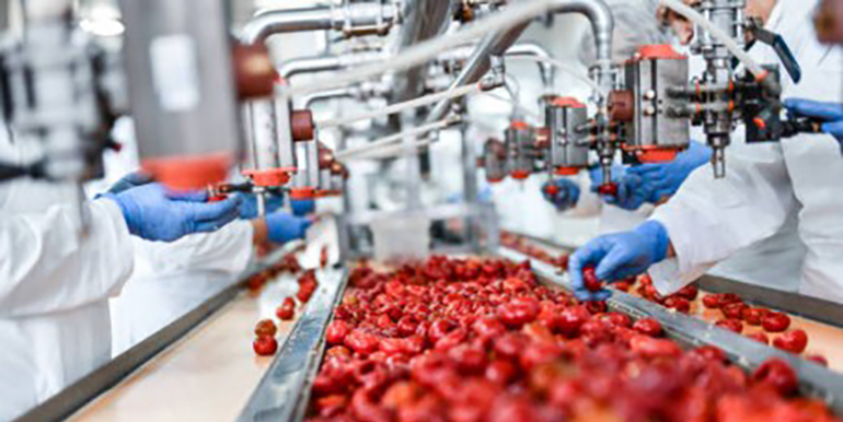La FAO alerta sobre los retos de migración y seguridad química de los plásticos reciclados en envases alimentarios